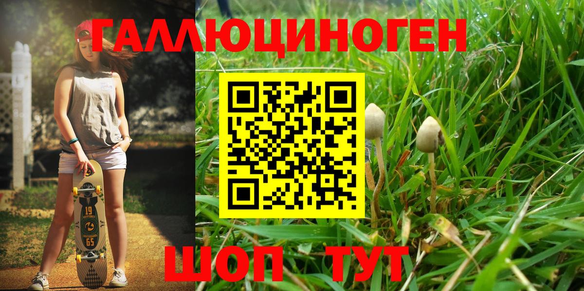 Галлюциногенные грибы мицелий  Галлюциногенные грибы Cubensis  Заинск  Вход с VPN 