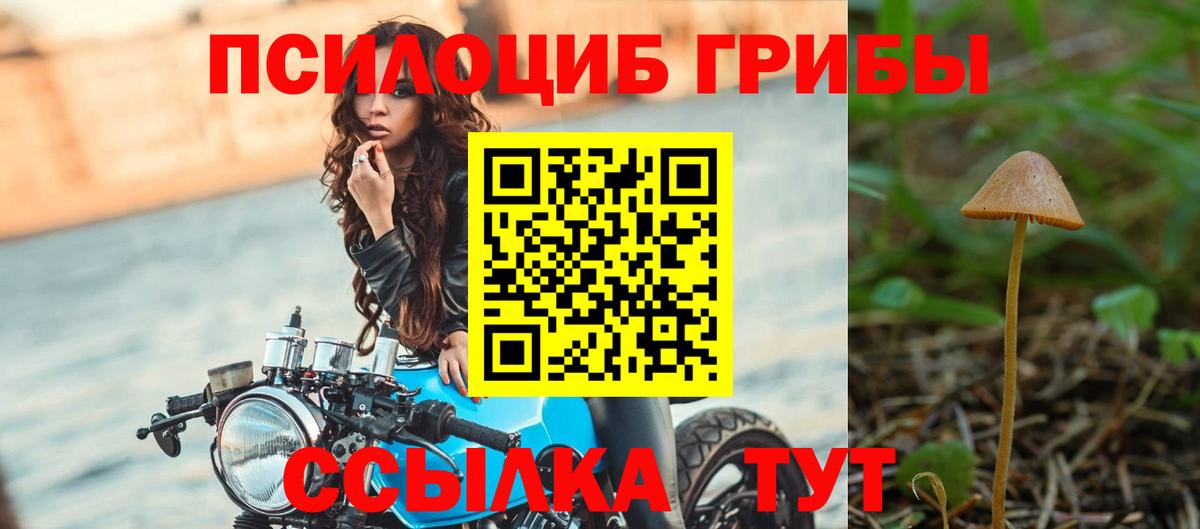 Псилоцибиновые грибы ЛСД Заинск
